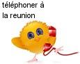 indicatif La reunion